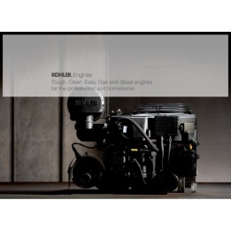 MOTEUR 12,5HP Vertic. 25.