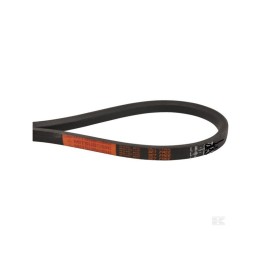 Courroie MITSUBOSHI LB102  ORIGINE