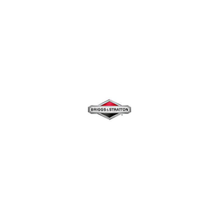 Levier Origine Briggs & Stratton