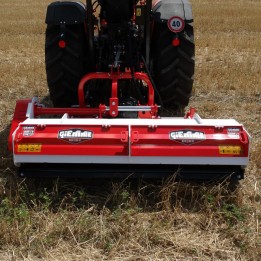 Broyeur à déport hydraulique 200 cm de coupe GIEMME MACHINERY
