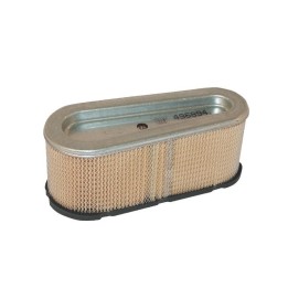 Filtre a air (4139) Origine Briggs & Stratton