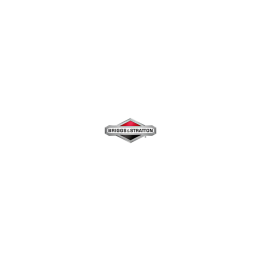 Shortblock Origine Briggs & Stratton