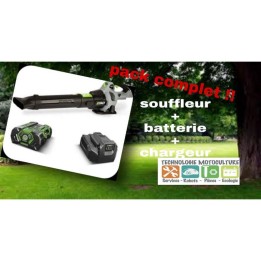 Souffleur à batterie EGO + Batterie 5 Ah + chargeur